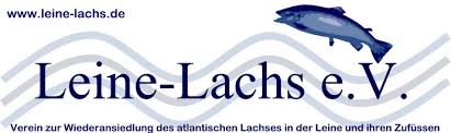 Banner Leine-Lachs-Projekt